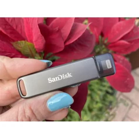 Sandisk Ixpand Flash Drive Luxe 256Gb (For Iphone,Ipad And Usb Type-C Devices)