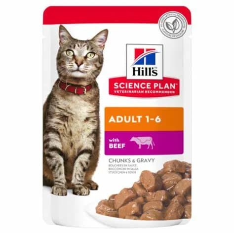 Hills Science Plane Adult Cat Wet Food With Beef Flavour Chunks Gravy  85Gm