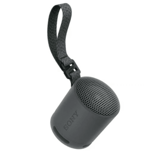 SRS-XB100/BC Portable Wireless Speaker - Black