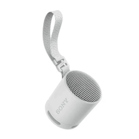 SRS-XB100/HC Portable Wireless Speaker- Light Gray