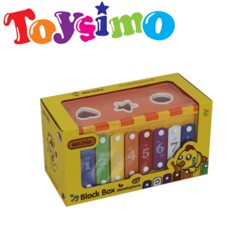 Educational Xylophone Percussion Music Set