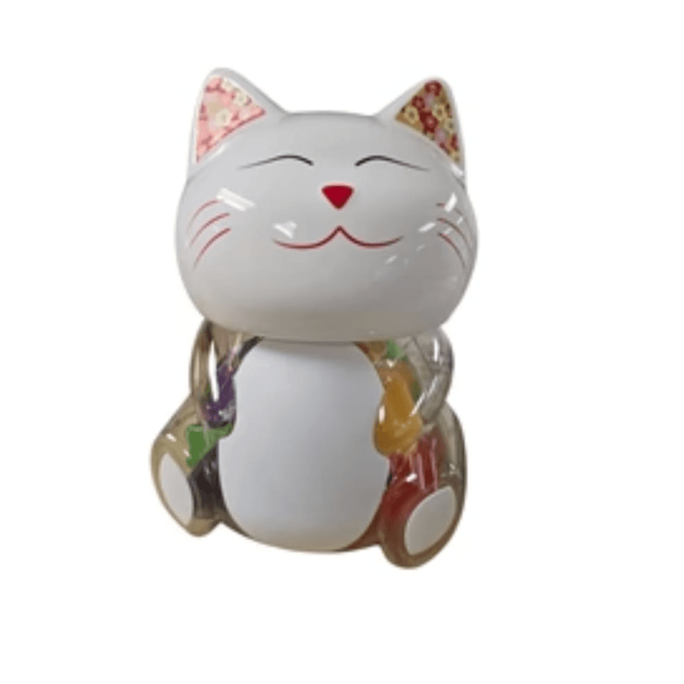 cat model bottle clay dough