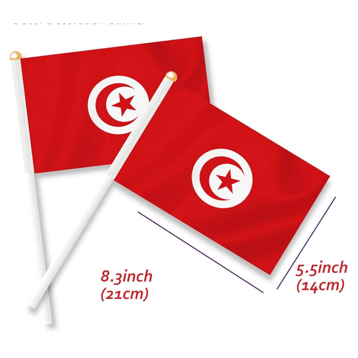 Country Flag Tunisia