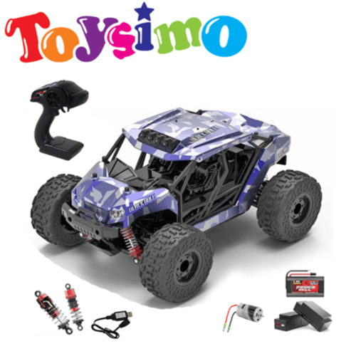 RC Four Wheel High Speed Car