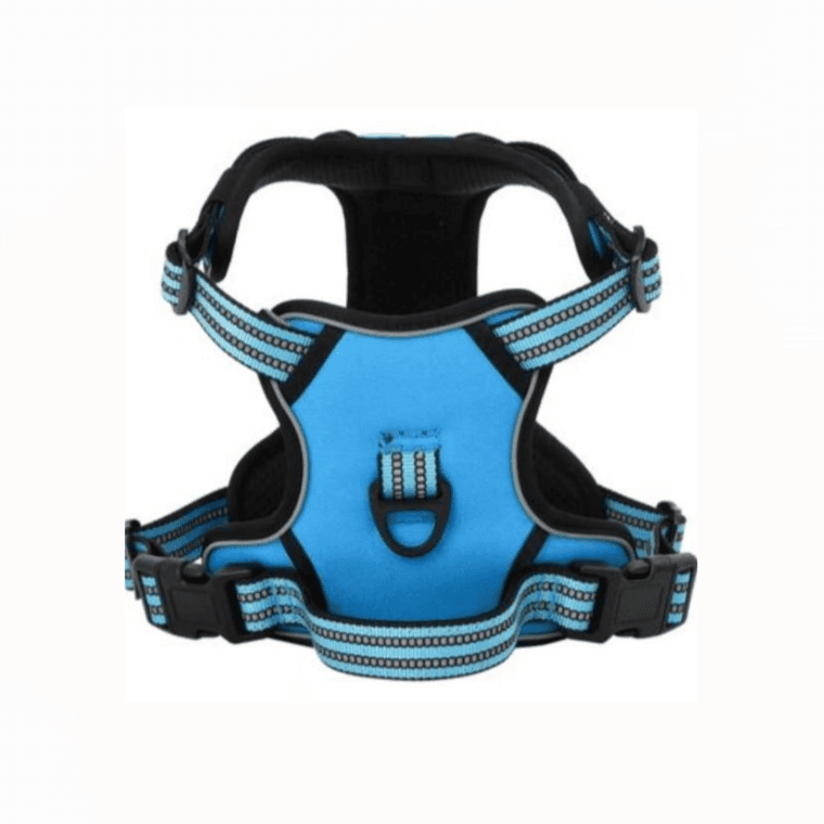 Dog Harness Medium Blue