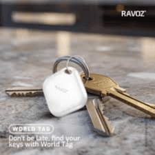 RAVOZ WORLD TAG  [ RT001 ]