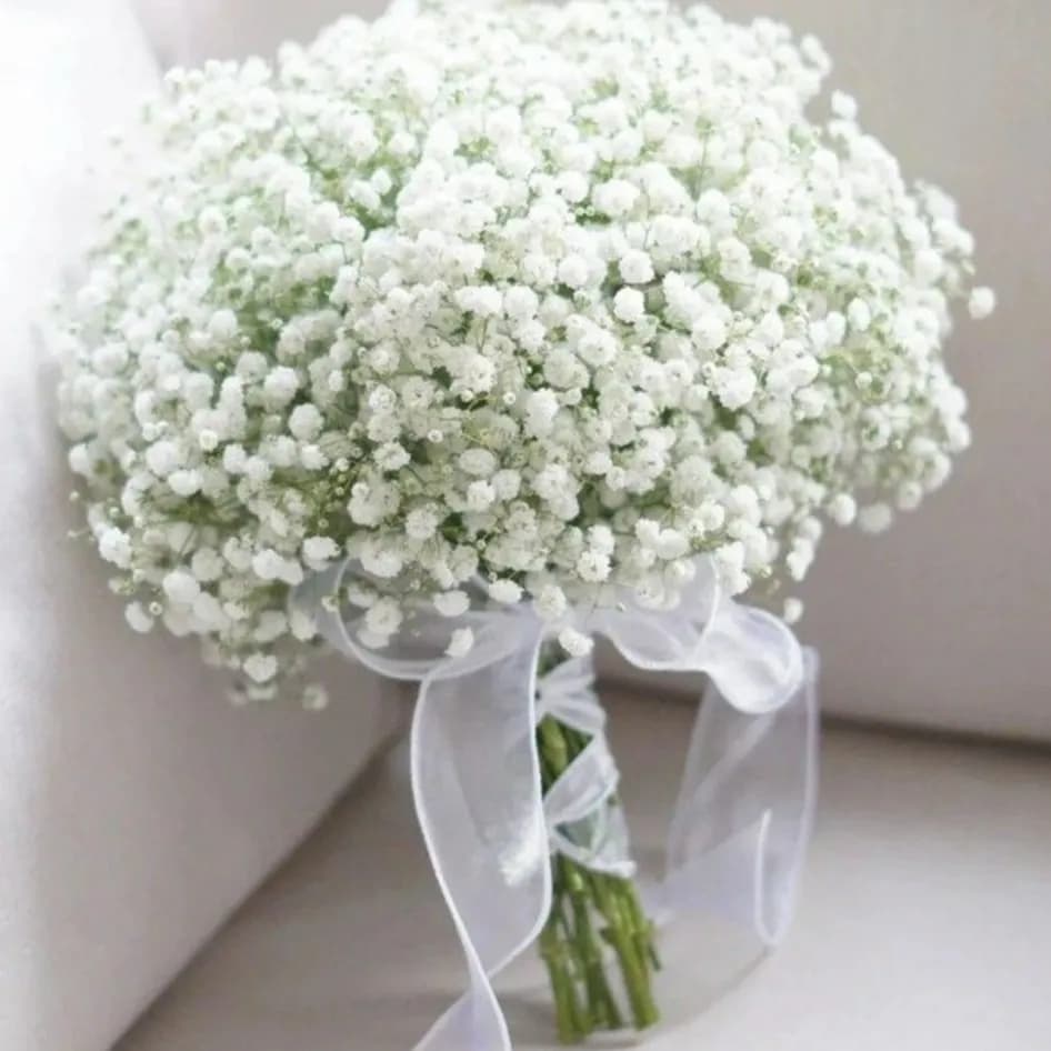 Bridal White & Green