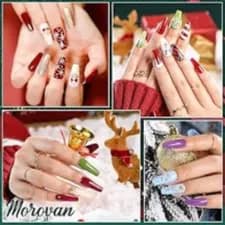 MERRY COLOR NAIL ART PK