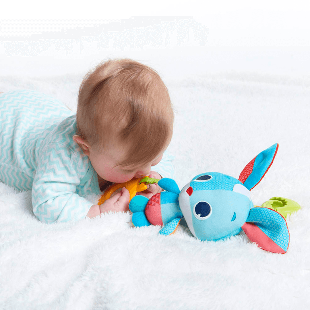 Tiny Love Thomas The Rabbit Jitter Meadow Days