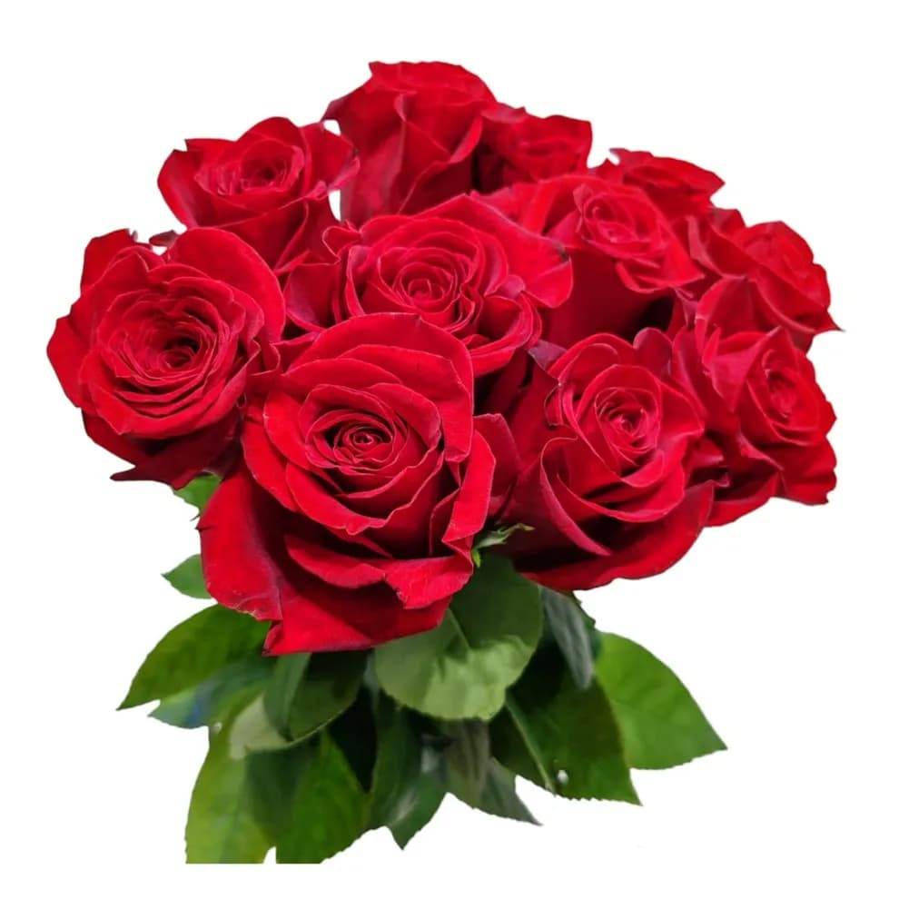 Bunch Of 10 Single Red Roses