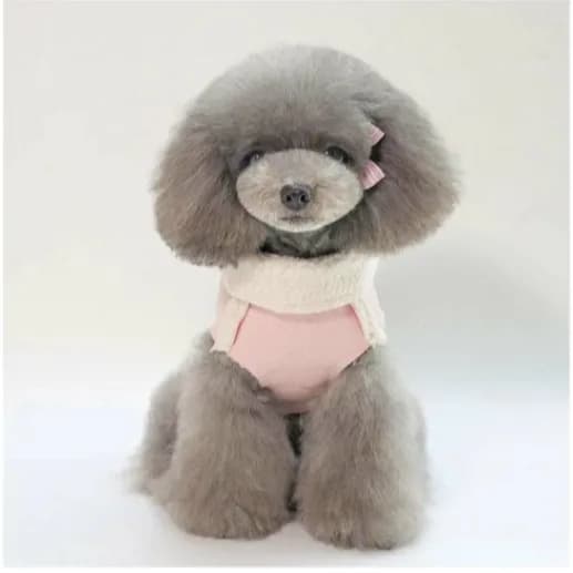 Dog Clothes Pink M