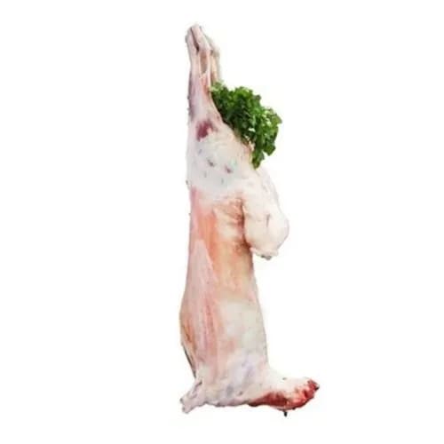 Syrian Lamb Full Carcase