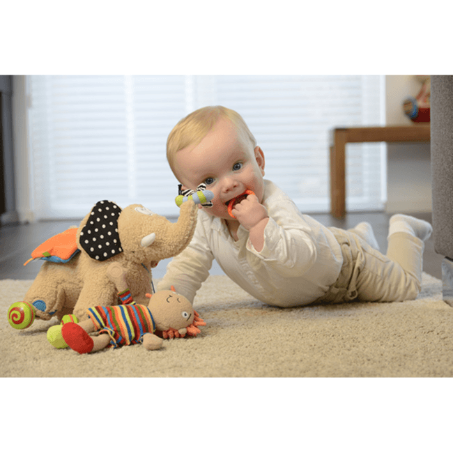 دولتشي سحب على طول