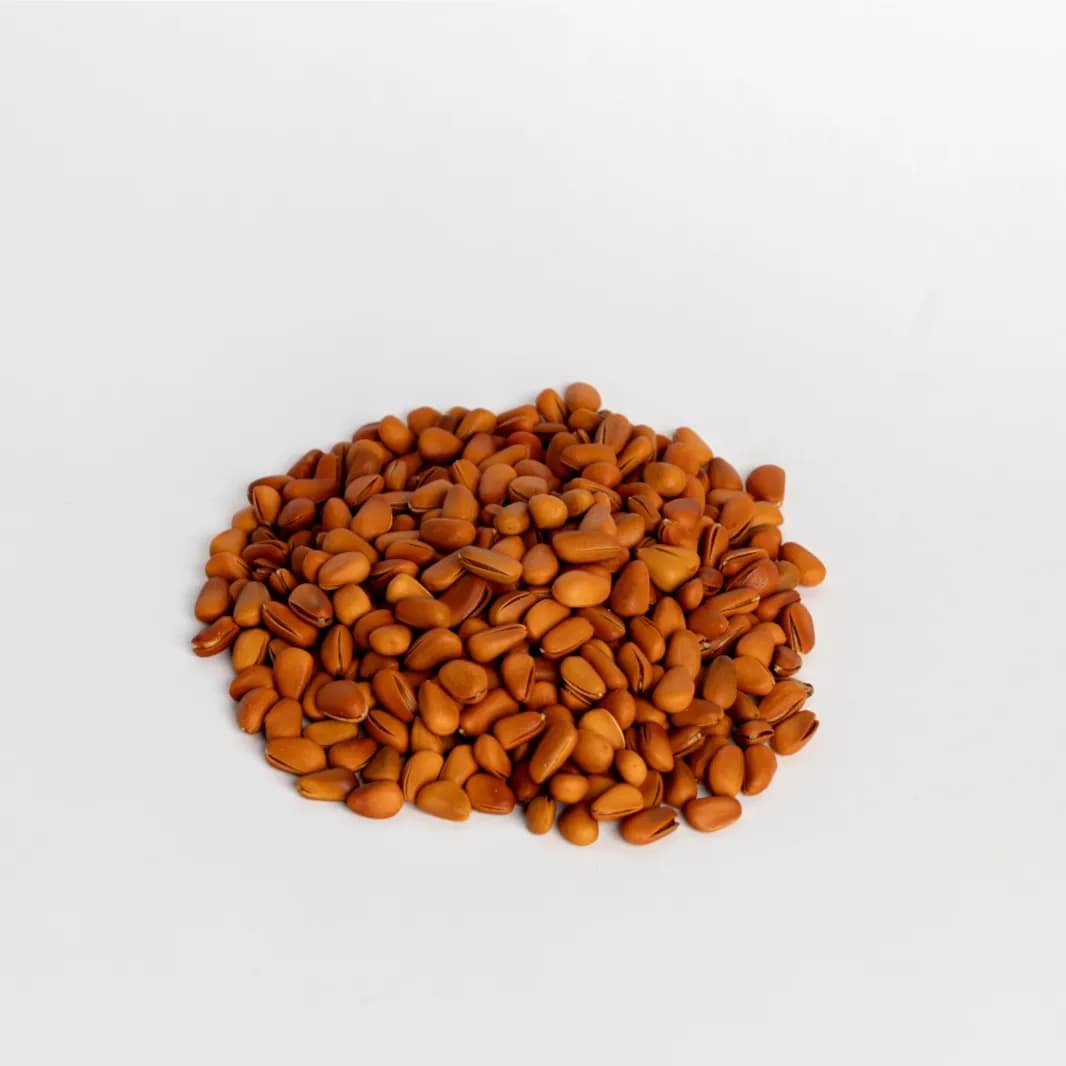 Pine Nut With Shell 1kg