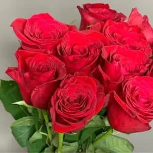 10 Red Roses