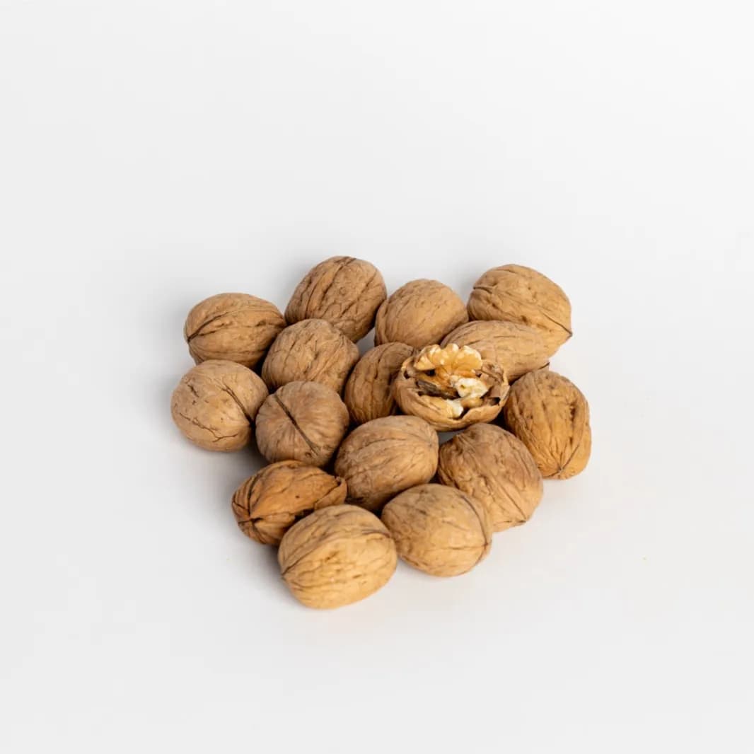 Wallnut Seed 1kg