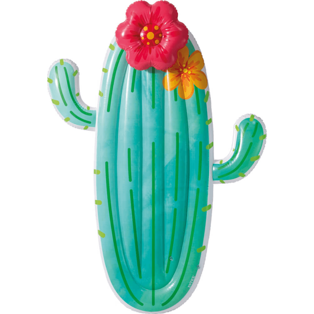 Cactus Float
