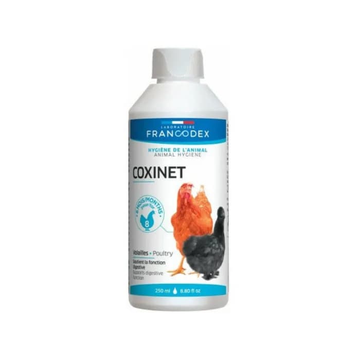 Coxinet