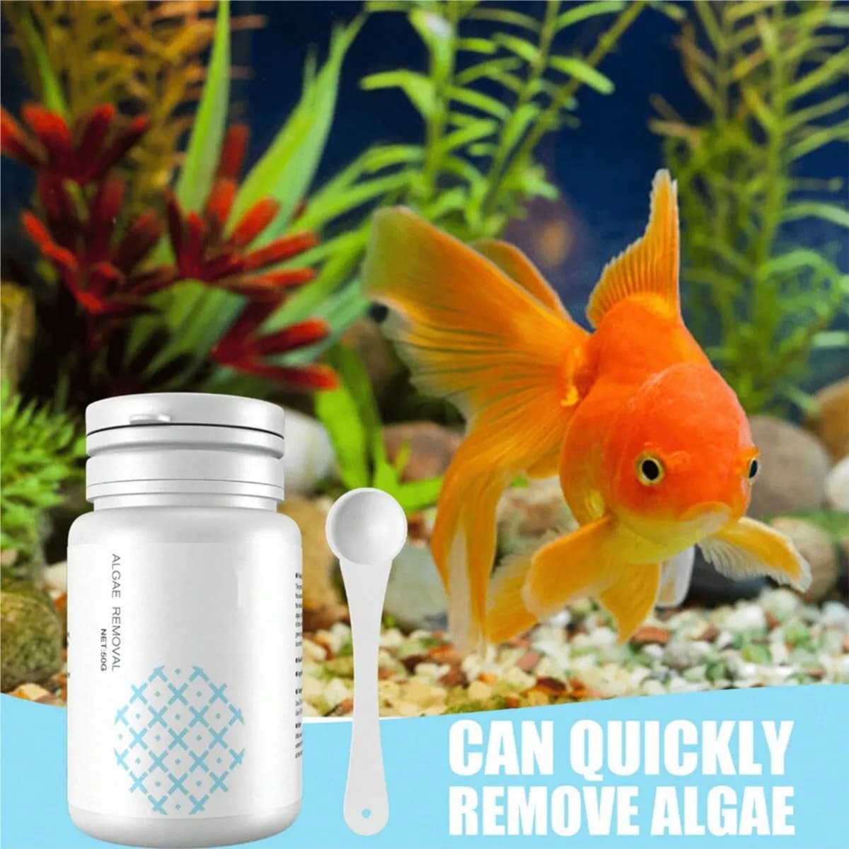 Aquarium Anti-Algae Cleaner