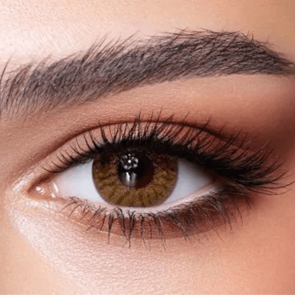 Bella Radiant Hazelnut Color Contact Lens Daily 10 Pcs