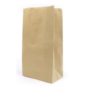 Paper Bag Medium