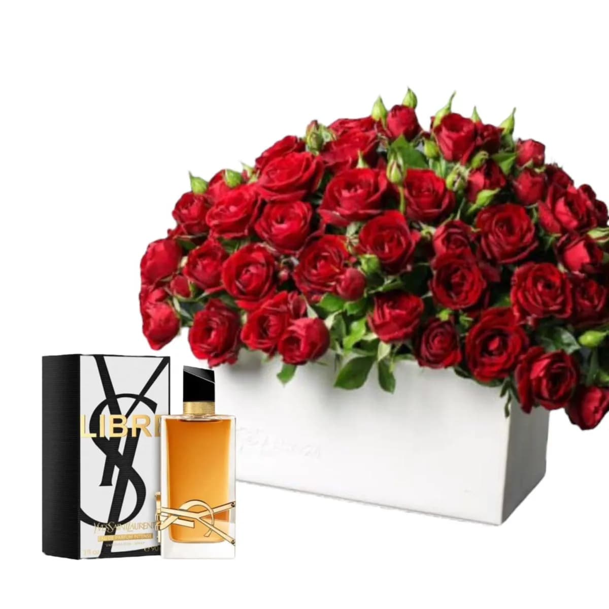 Vip Ysl 012