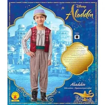 Aladdin Costume