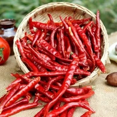 Dried Long Chilli