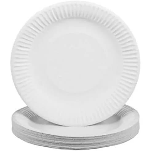 Disposable Paper Plates, 25 Pieces