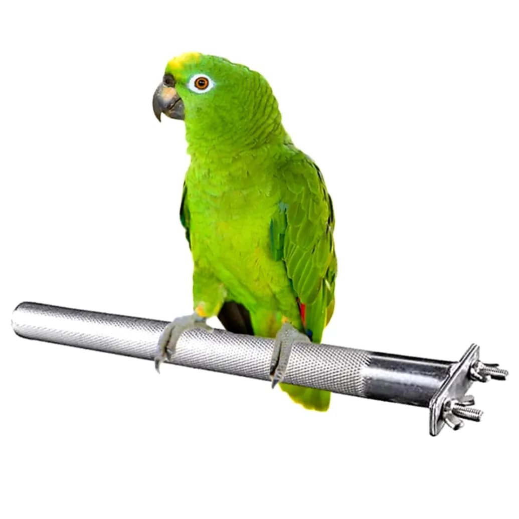 Stainless Steel Bird Perch, Scratching Climbing Leg, Bird Grinding Toys, Bird Accessories size large