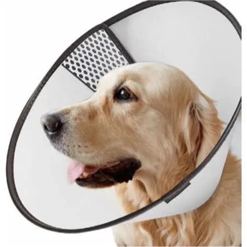 PAWISE PET E-COLLAR