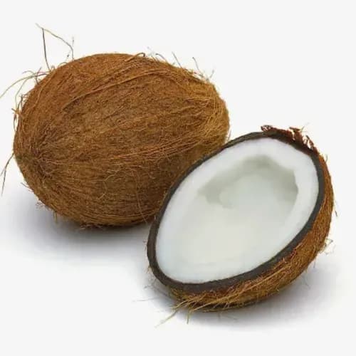 Coconut 1 Pcs