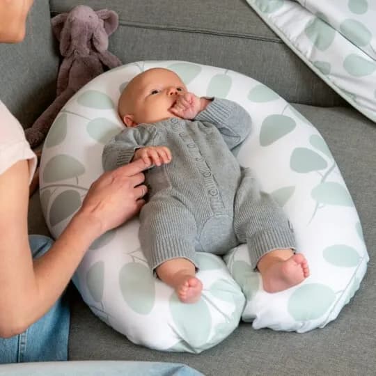 Doomoo Buddy Maternity Pillow