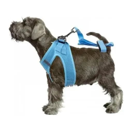 PAWISE AIR MESH SOFT HARNESS S W/1.2M LEASH