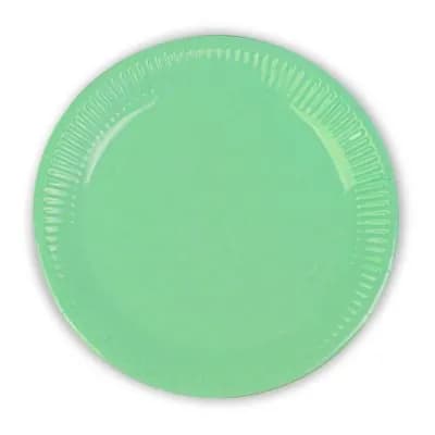 Pastel Green Paper Plates 8 Pcs Per Pack