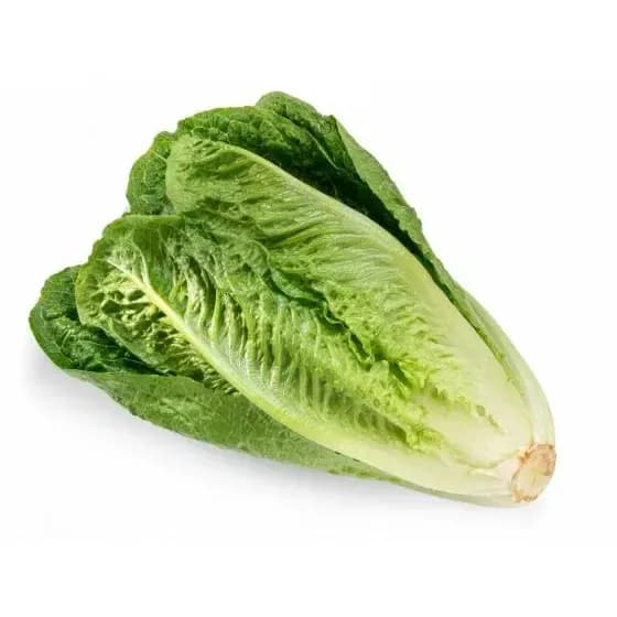 Lettuce,500gm