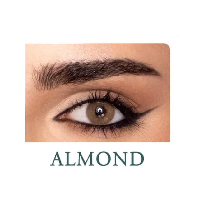 Tinker bell color contact lenses Almond 14.2mm Made in Korea