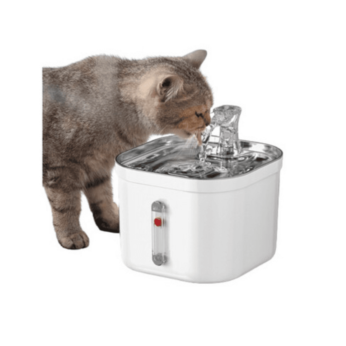 Water Fountain for Pets