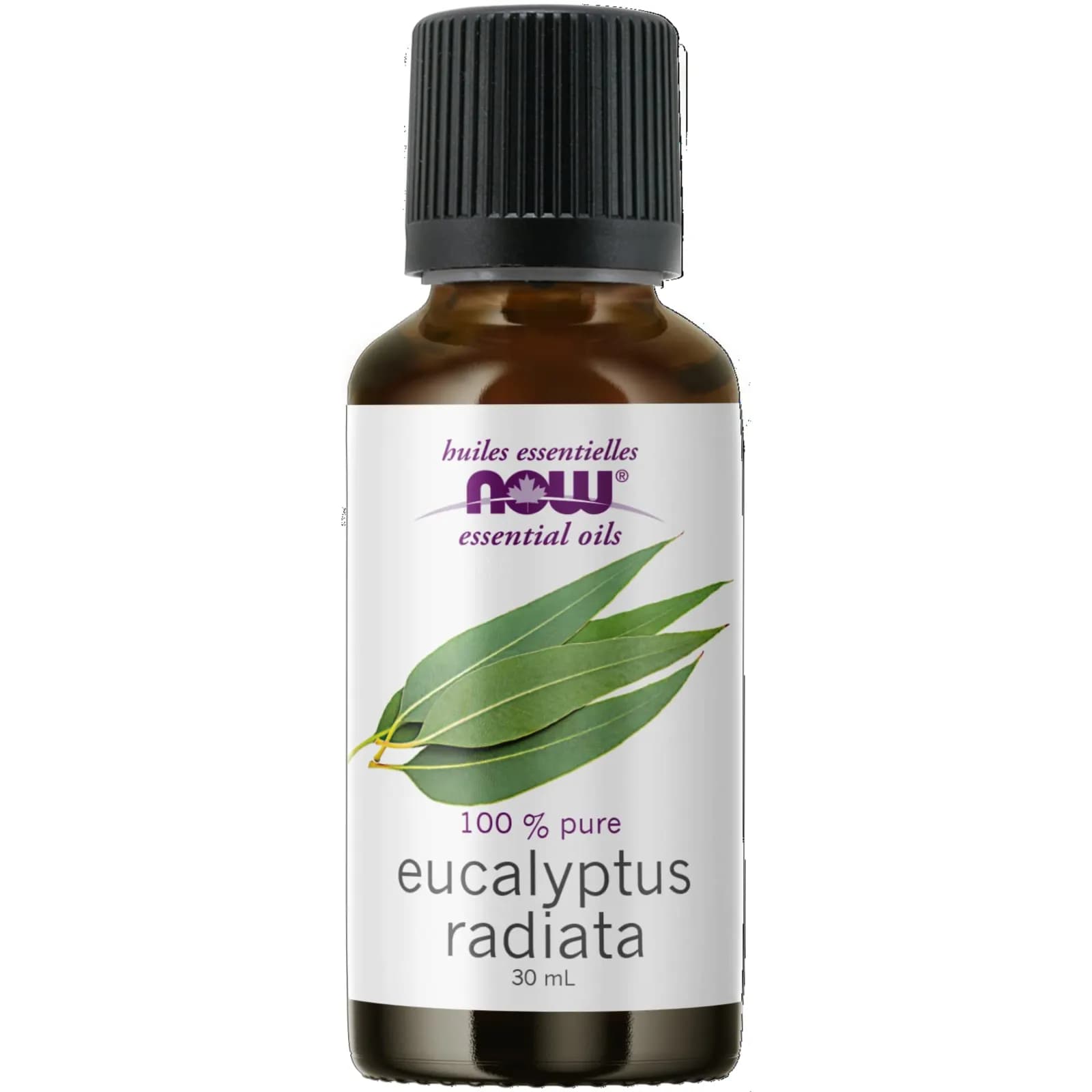 Now Eucalyptus Oil 30 Ml