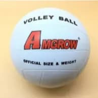 VOLLEYBALL AMGROW