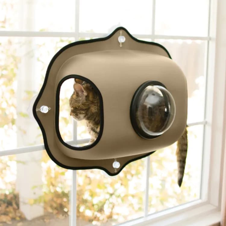 Window Bubble Pod