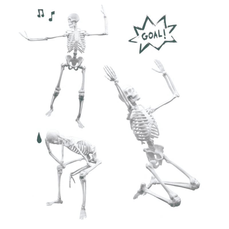 Buki France - Giant Articulated Skeleton (45cm)