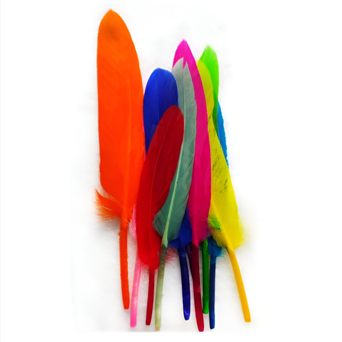 Feathers For Craft Works Multi Color Pack-Of 10 Pieces - (CBQL68)