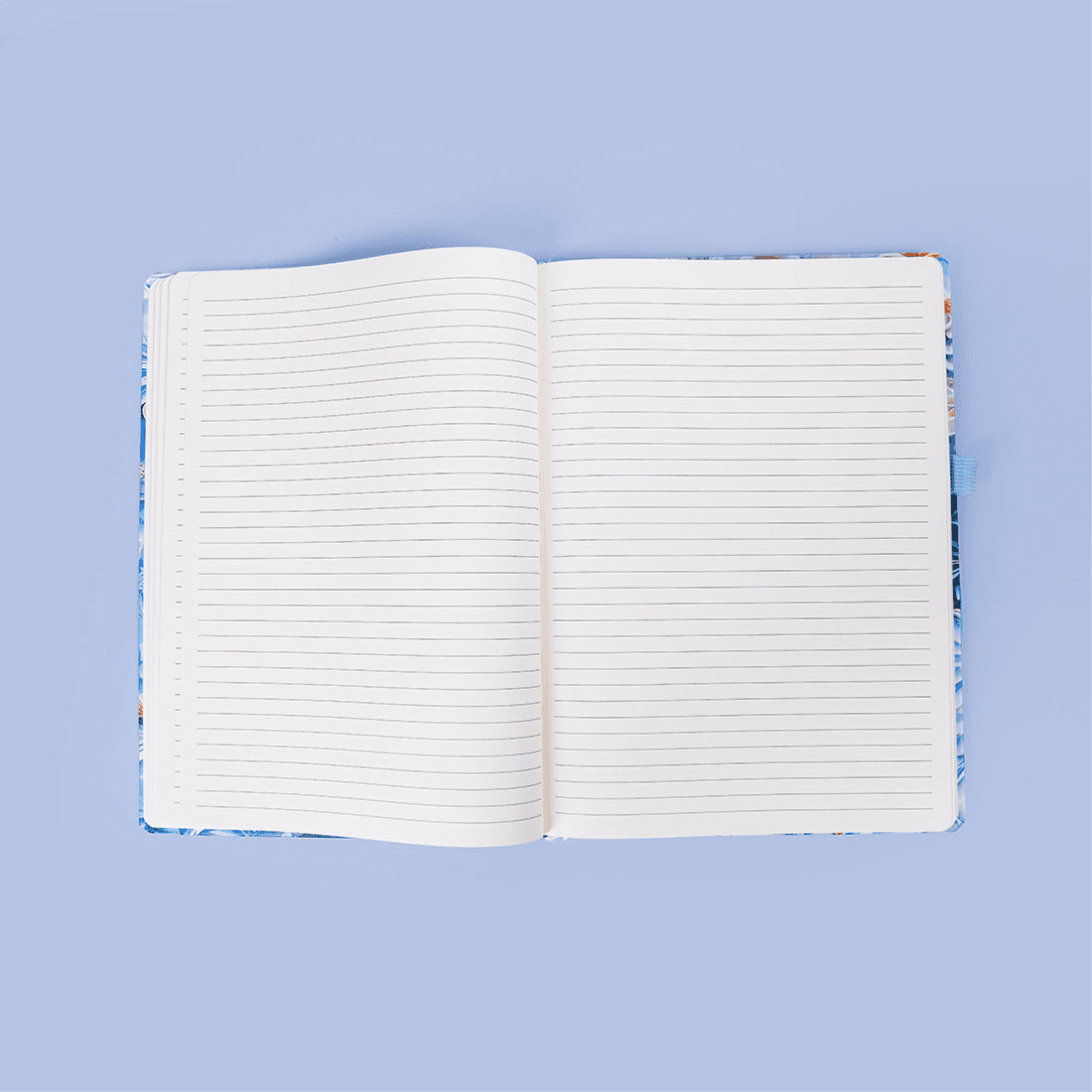 Blue Butterfly Notebook