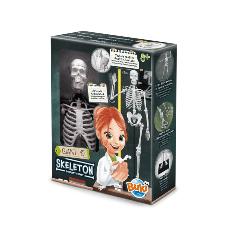 Buki France - Giant Articulated Skeleton (45cm)