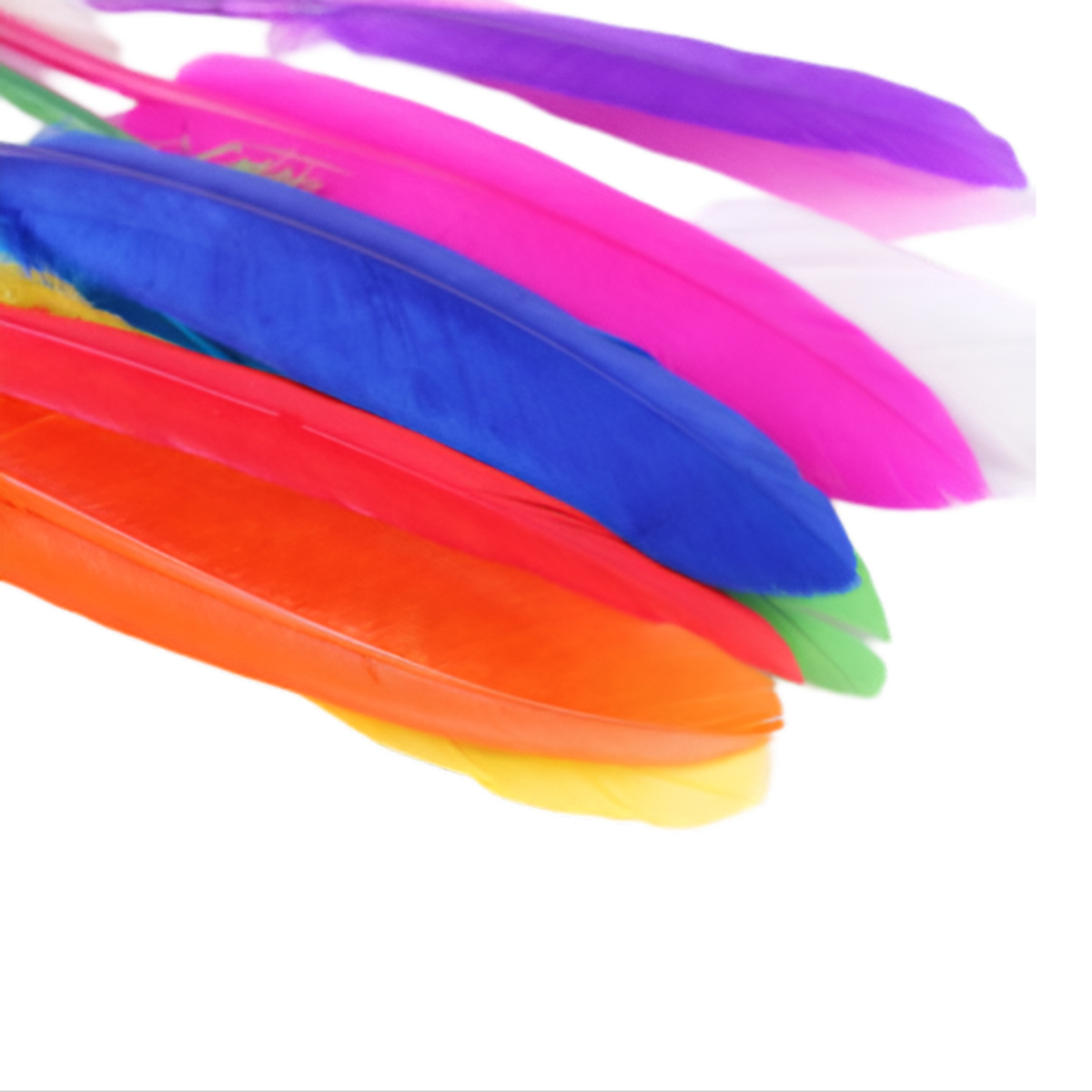 Feathers For Craft Works Multi Color Pack-Of 10 Pieces - (CBQL68)