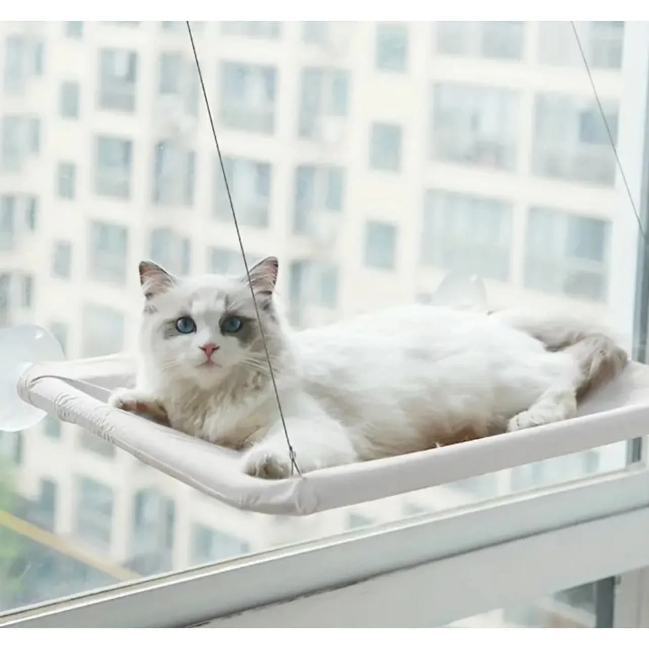 Window Hanging Cat Bed