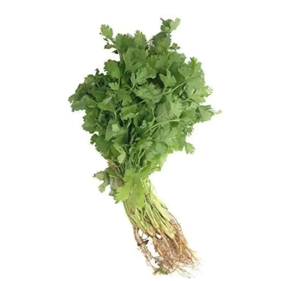 Coriander Leaves, 1 Bundle