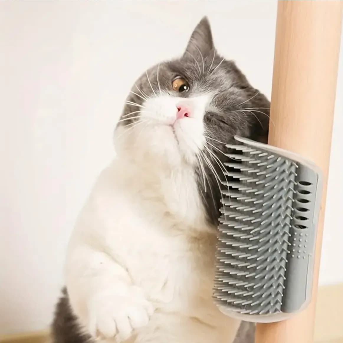 Hanging comb for cats