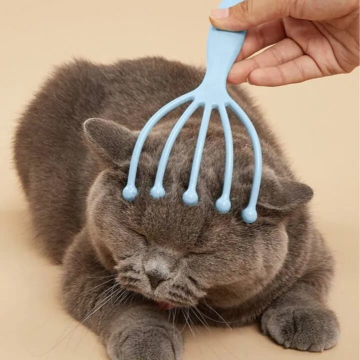 Five Claw Ball Massager For Pet Massage 